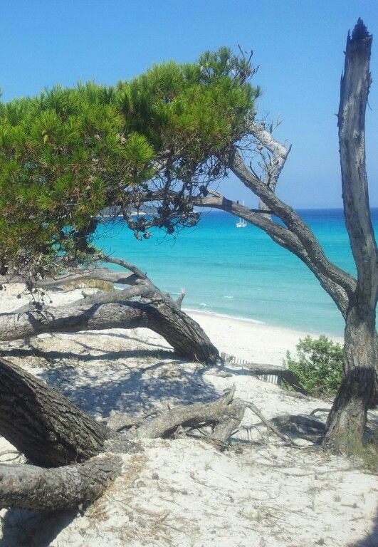 un terrain en première position à Hammam El Ghezaz