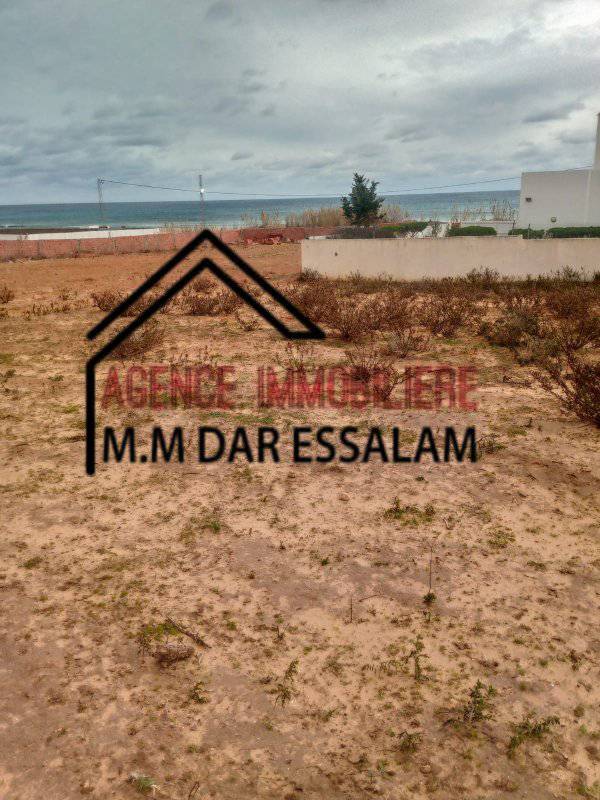 des terrains près de la mer