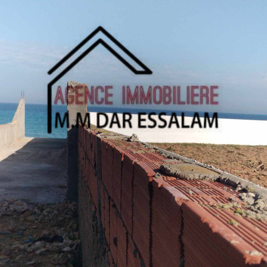 dar adel1