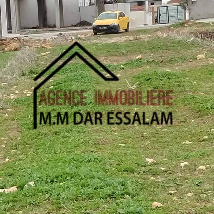 3am najib1