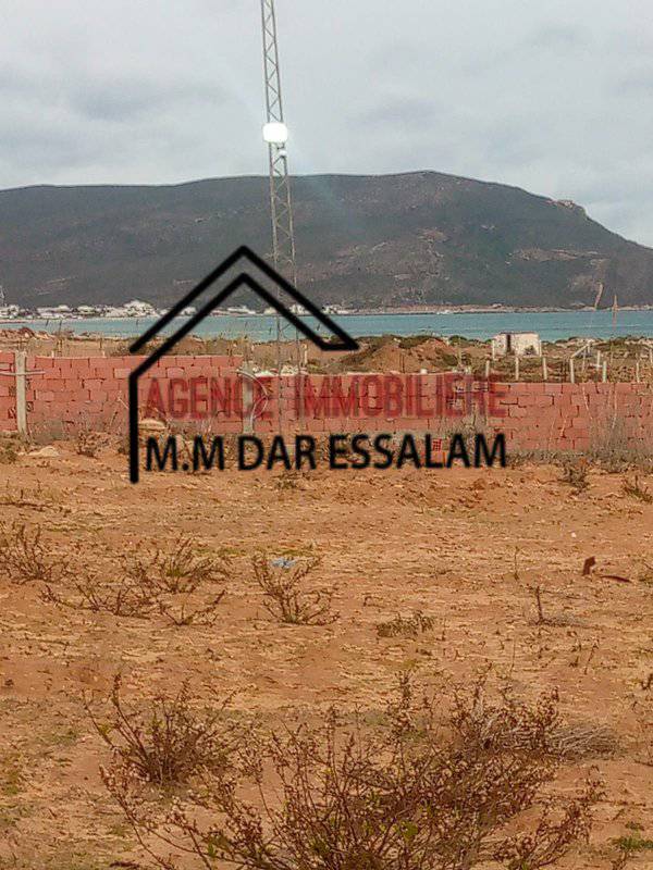 hassen3