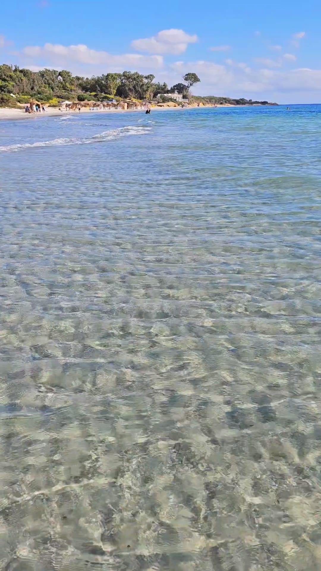 nouvelles offres de terrains côtiers