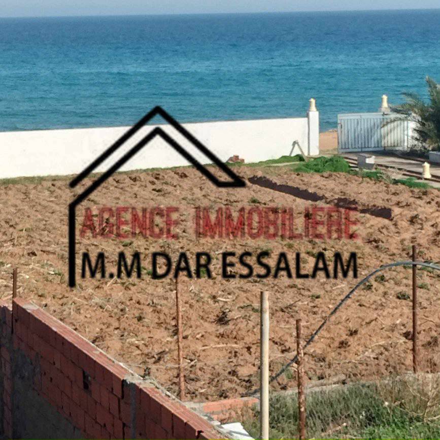 adel2