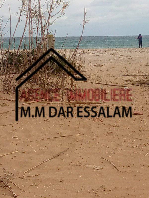 hassen1