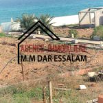adel4
