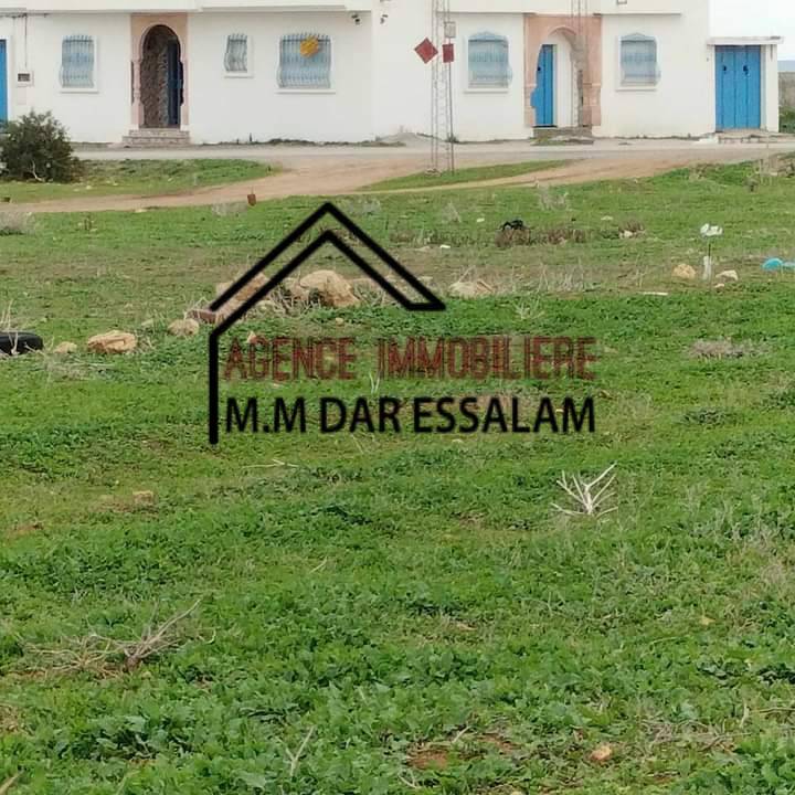 terrains près de la mer