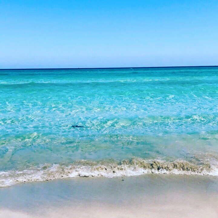 Occasion à ne pas rater