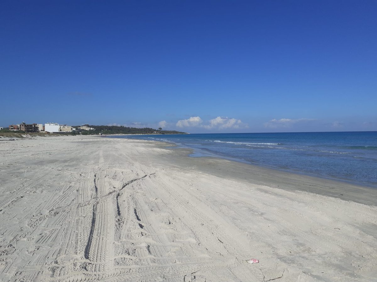 Des merveilleux terrains avec vue sur mer