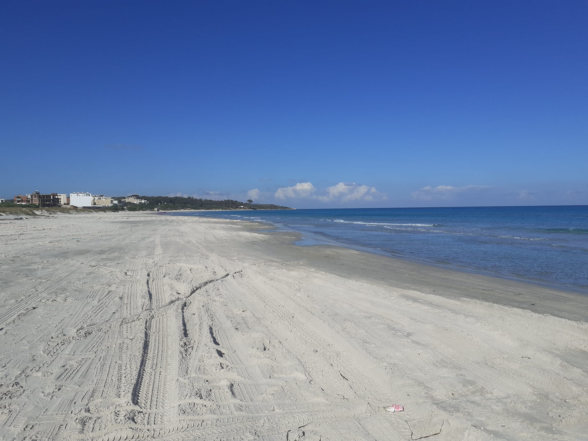 281508568_1197670951048944_2574975238560878189_n