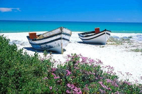 La vie est belle au bord de la mer