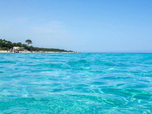 Découvrez le luxe de la vie en bord de mer