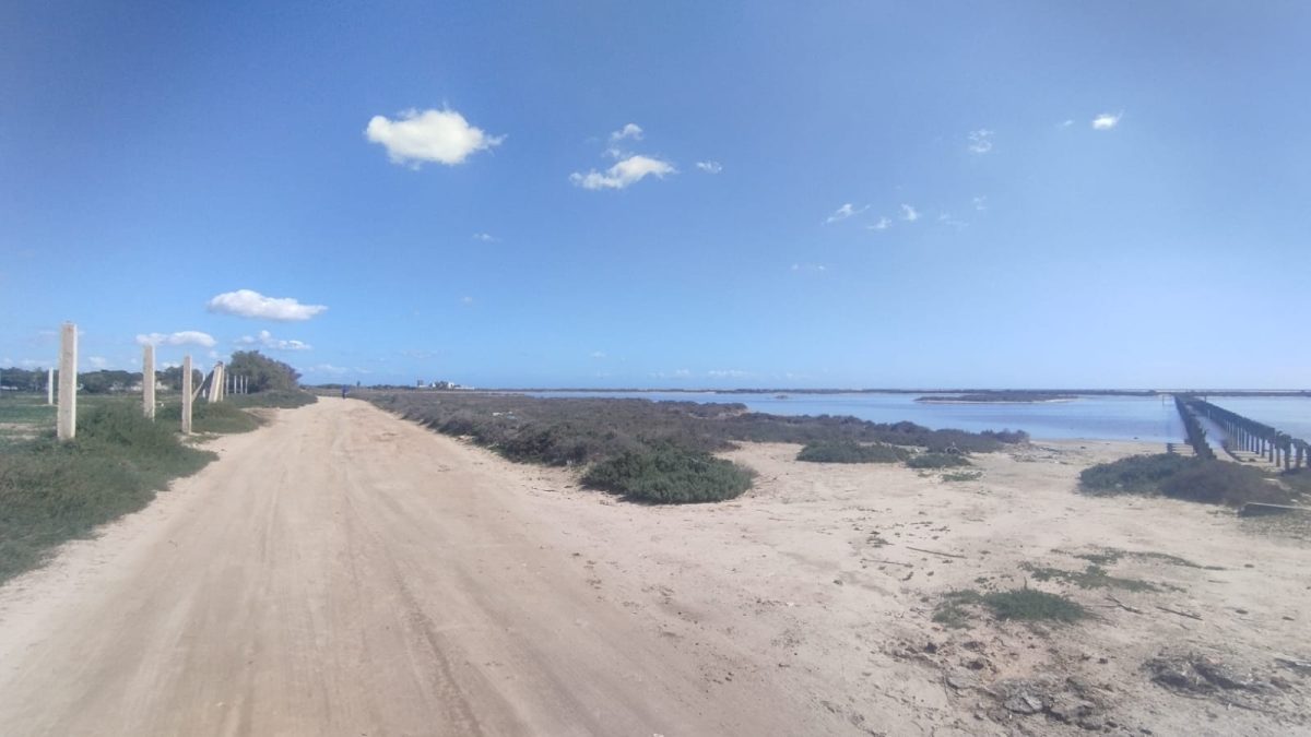 Vente d&rsquo;un terrain agricole à El Maamoura Beach