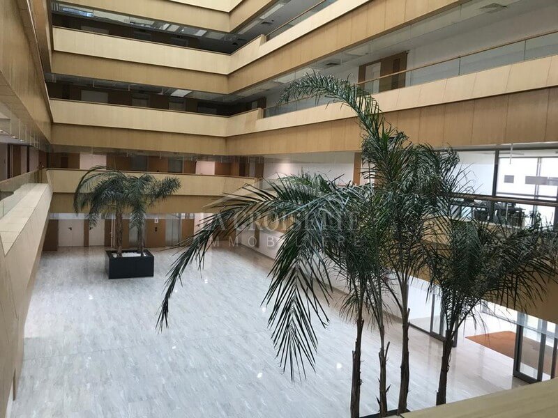 Bureau H+3 aux Jardins de Carthage  ZBL0254