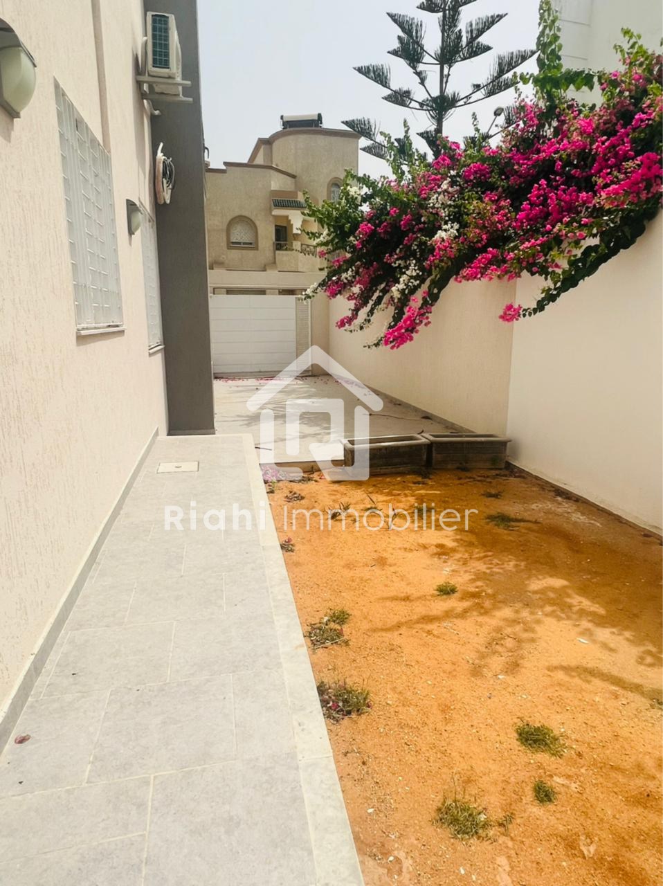 458210021_1044969527339786_342917443392276568_n