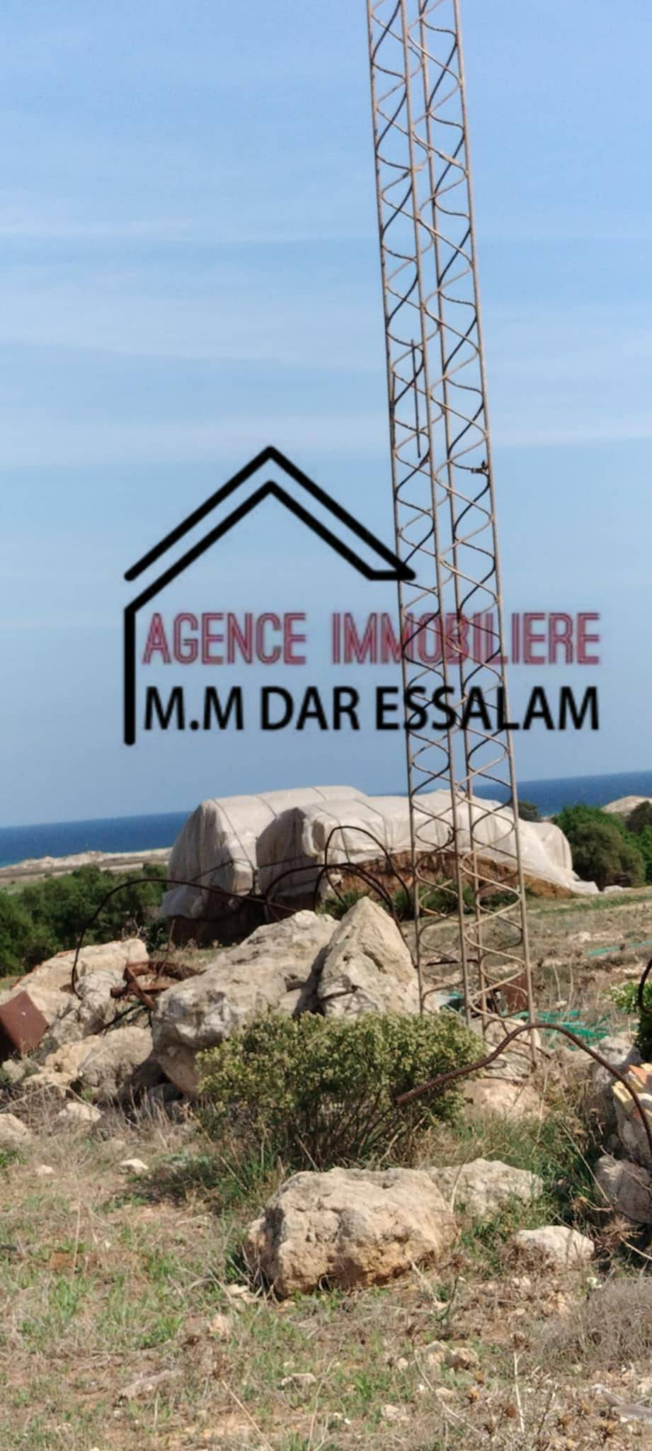 terrain près de la mer