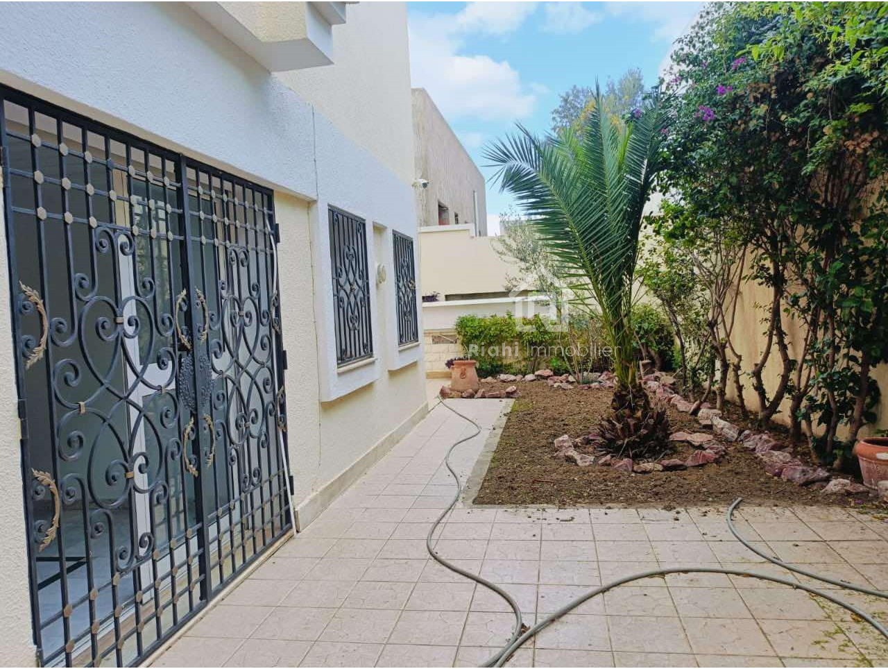 473236901_1056011683205419_4209238486233831374_n