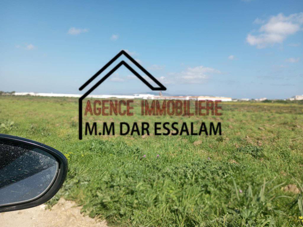 terrain agricole à vendre