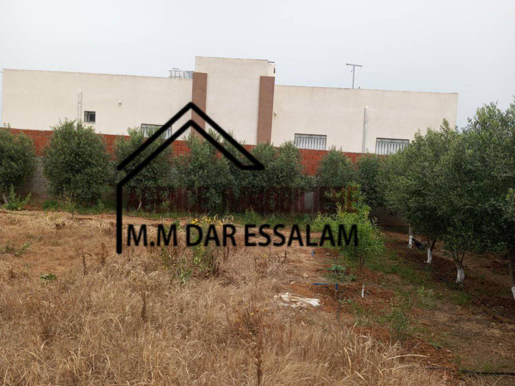 terrain college4