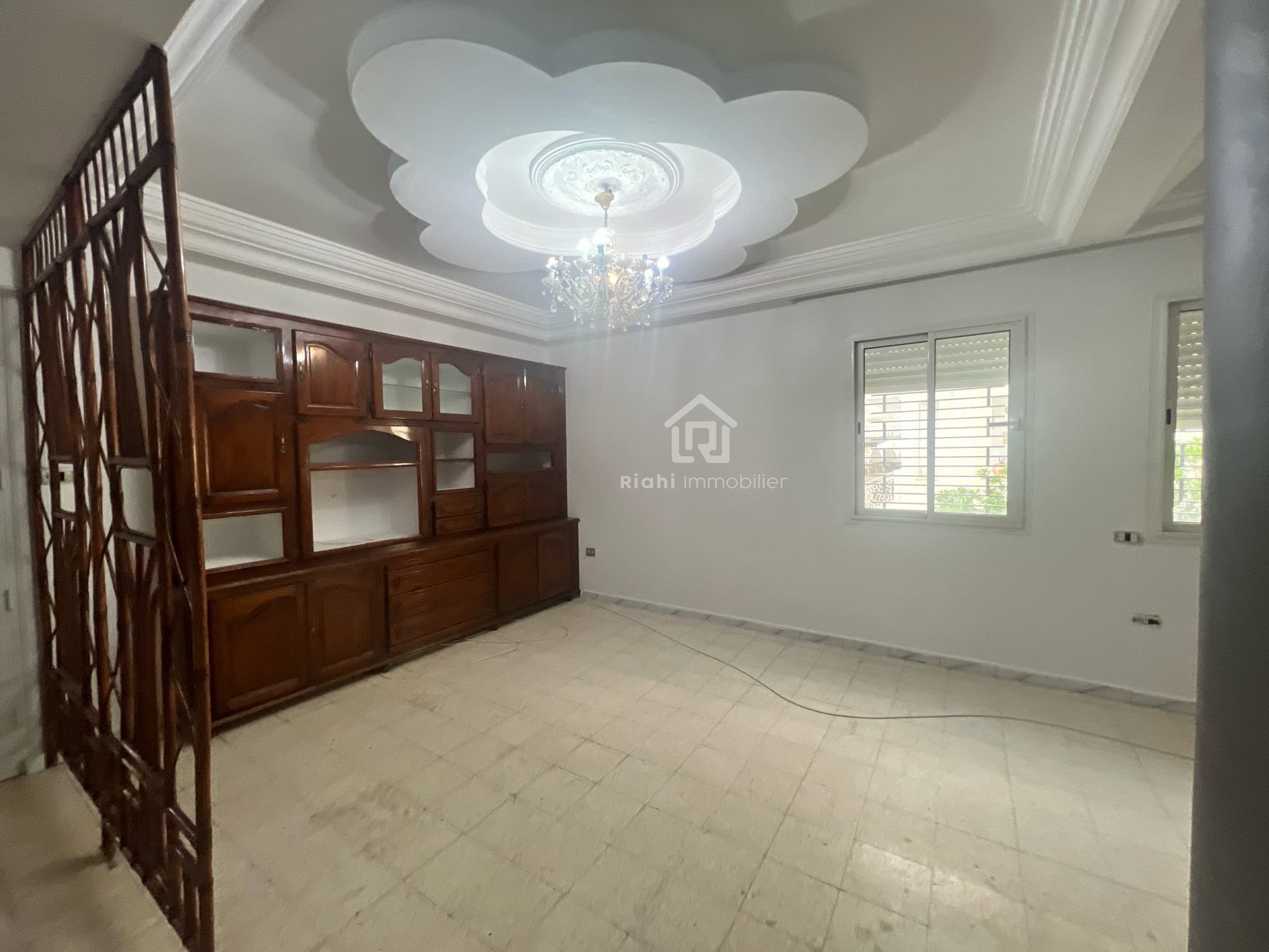 493044950_1136623408477579_7593888776519063330_n