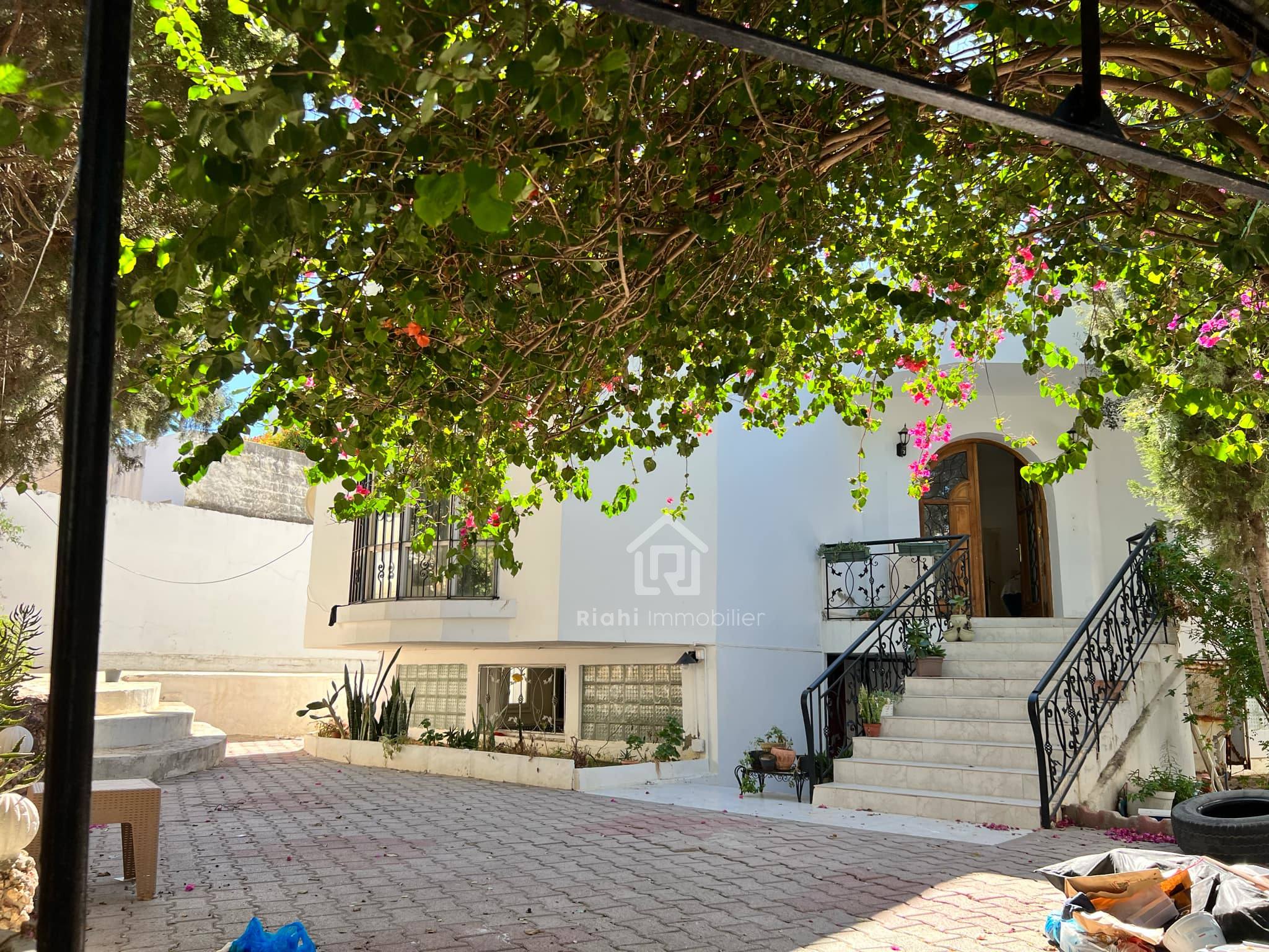 486710116_1195539182282819_4999458000784927711_n