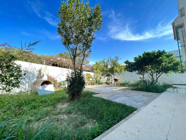 495098227_1223628532807217_129281090968846364_n