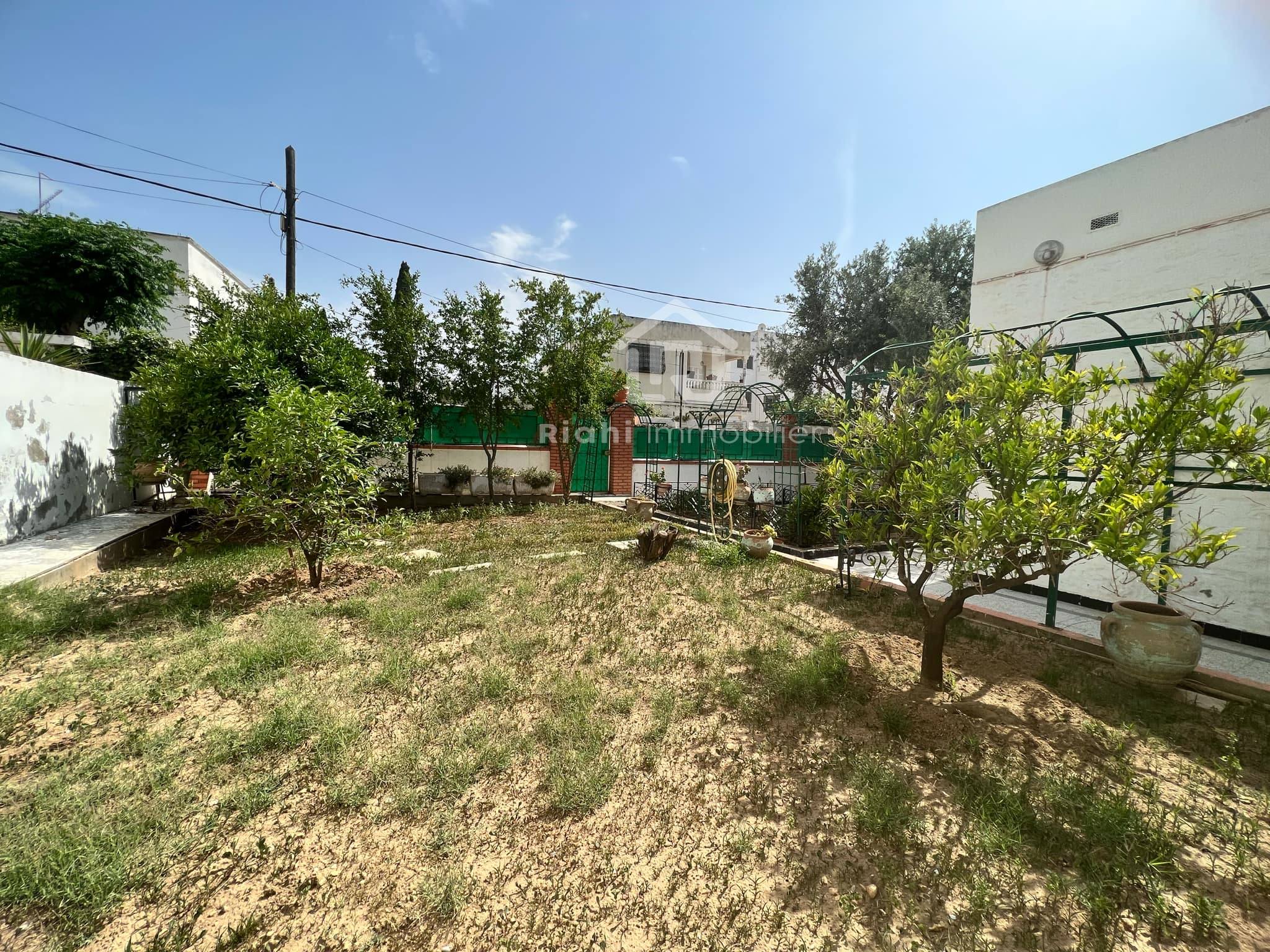 461197666_1060864635750275_6757046892786104601_n