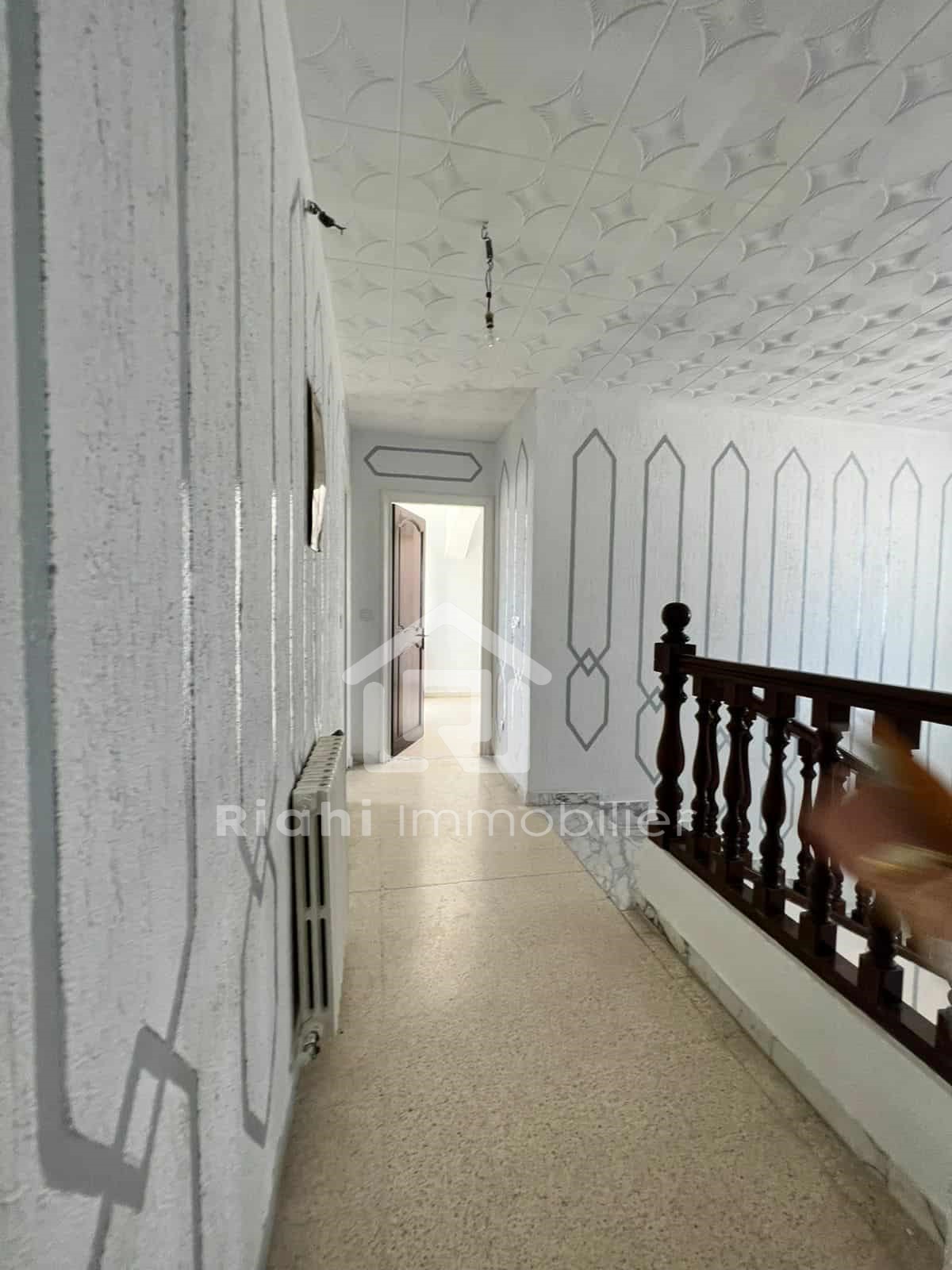 500135152_1244357300734340_680180252978085962_n