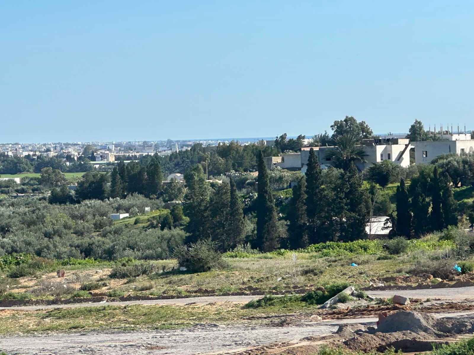 WhatsApp Image 2025-01-23 à 14.16.50_b1ca7b58