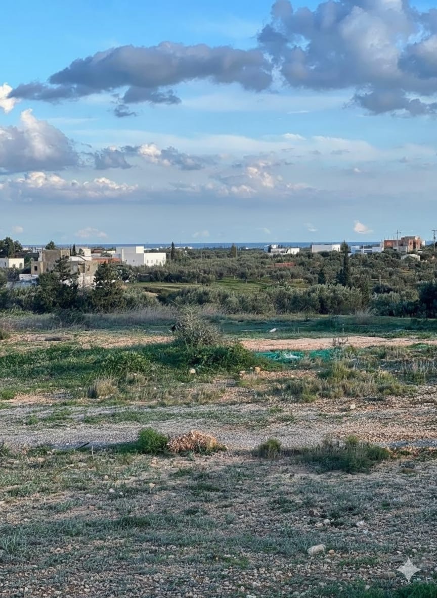 WhatsApp Image 2025-09-01 à 12.34.07_50cac18e