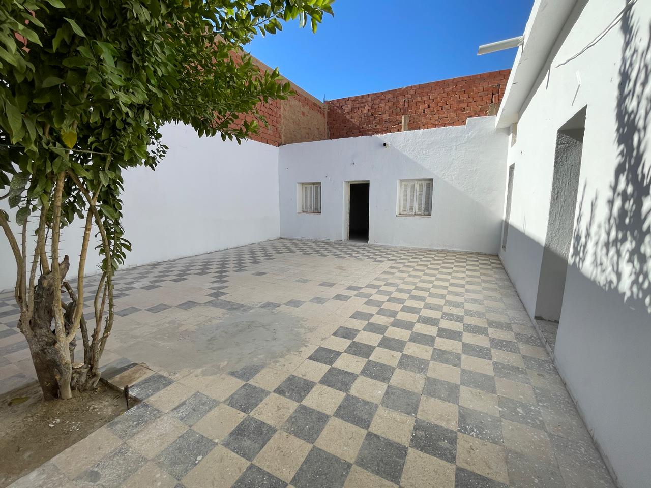 WhatsApp Image 2026-01-11 at 12.53.53