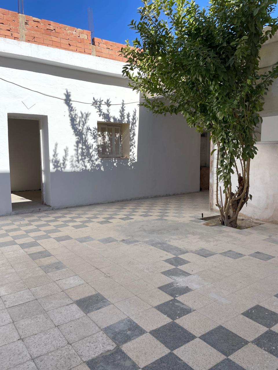 WhatsApp Image 2026-01-11 at 12.54.17