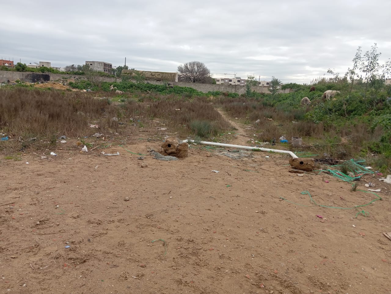 WhatsApp Image 2026-01-20 at 10.47.11 (1)