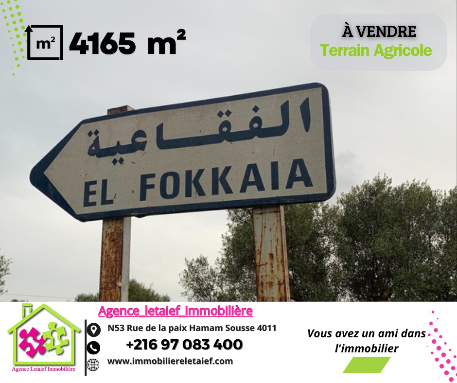 للبيع أرض فلاحية ذات موقع استراتيجيm²4165