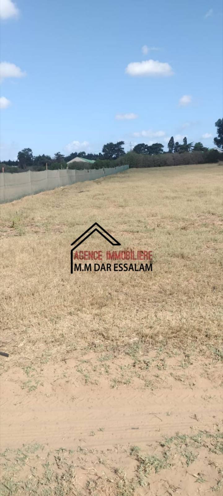 terrain près de la route principal