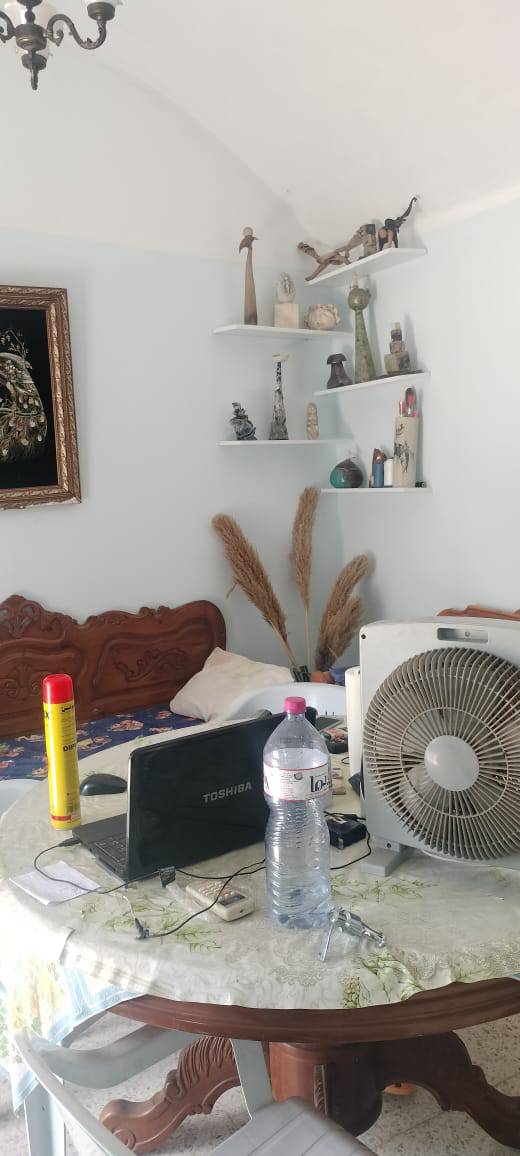 رؤوف11