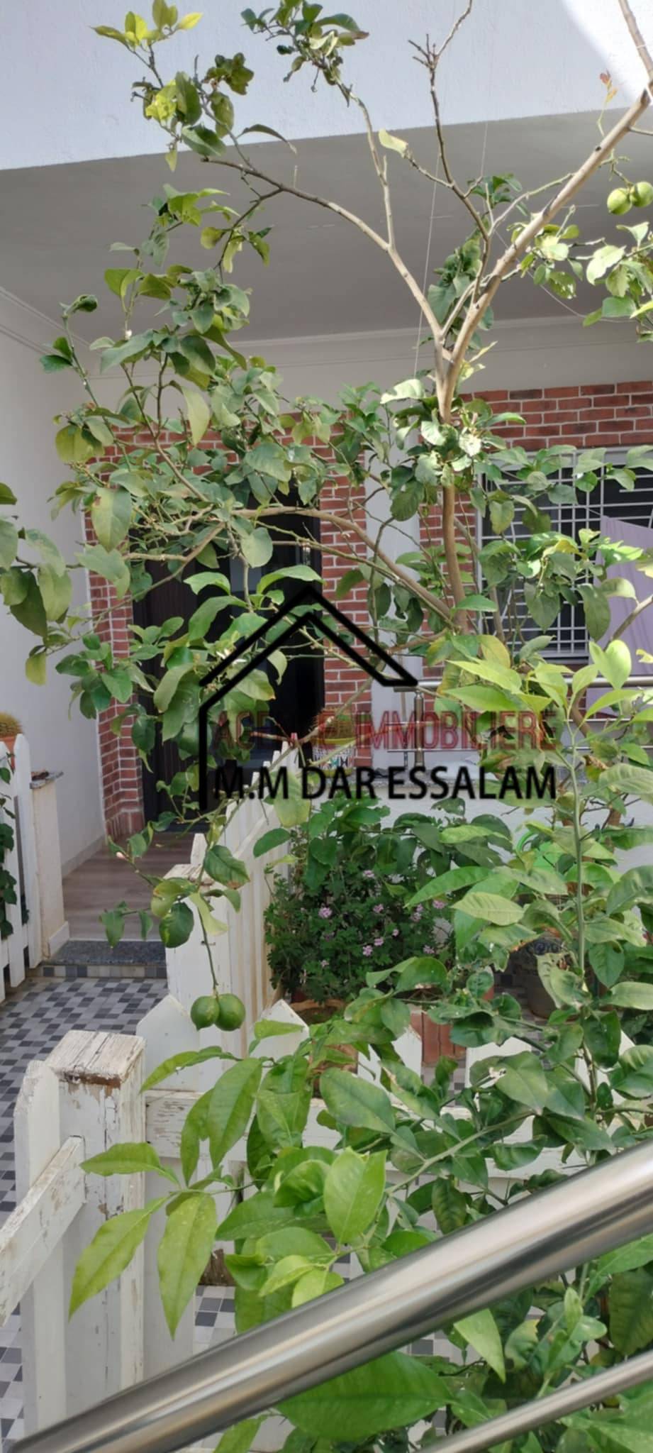 villa wissal16