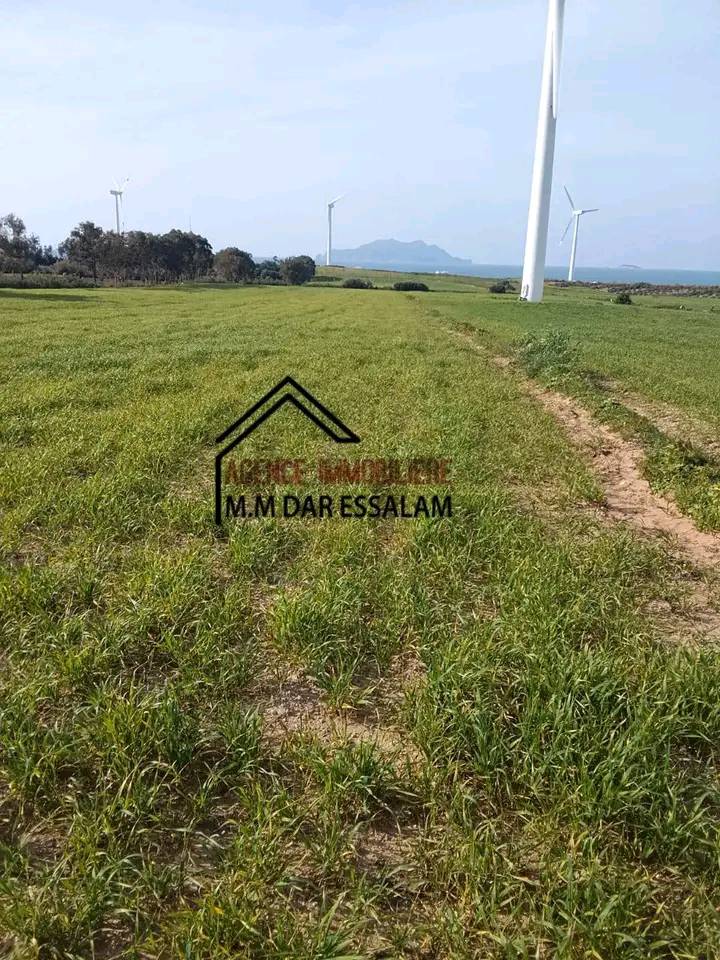 terrain à vendre près de la mer