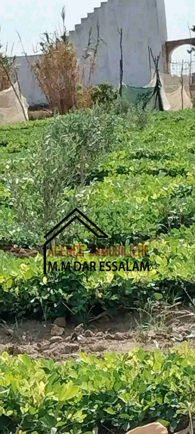 terrain agricole à vendre