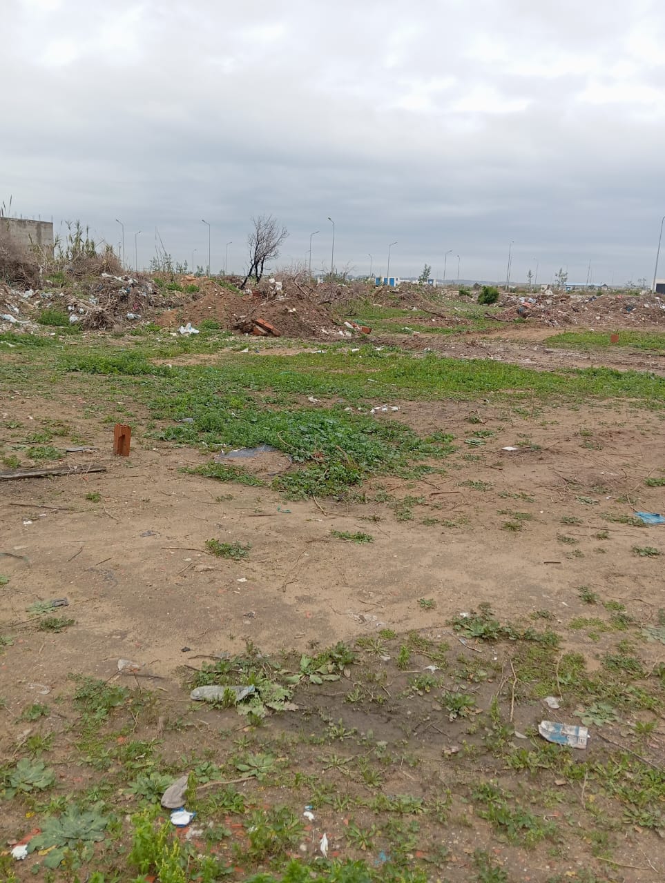 WhatsApp Image 2026-01-20 at 10.47.12 (3)