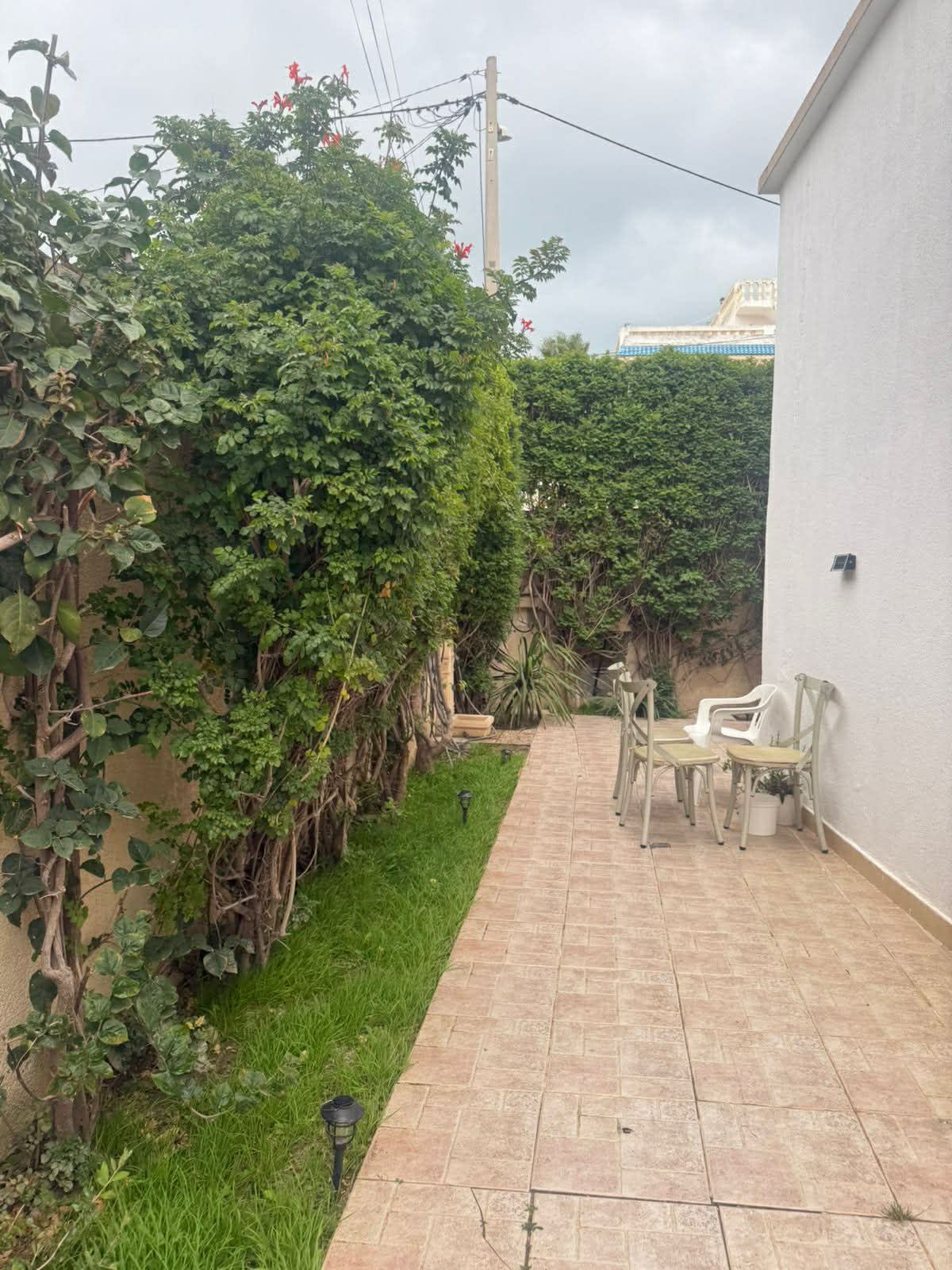 cdb0091b-c37c-401c-9174-8a3e88e880d3