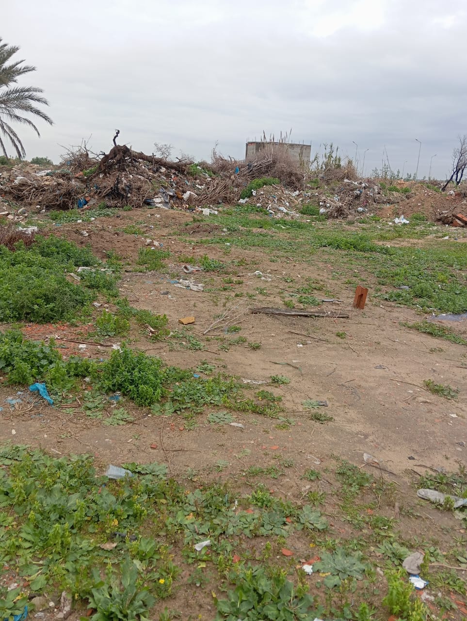 lot de 346 m2 à vendre à la soukra