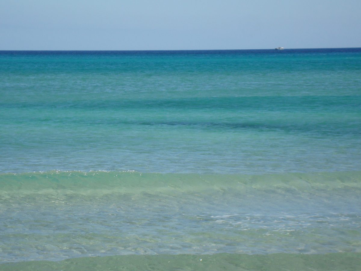 terrain de 50000 m² au bord de la mer