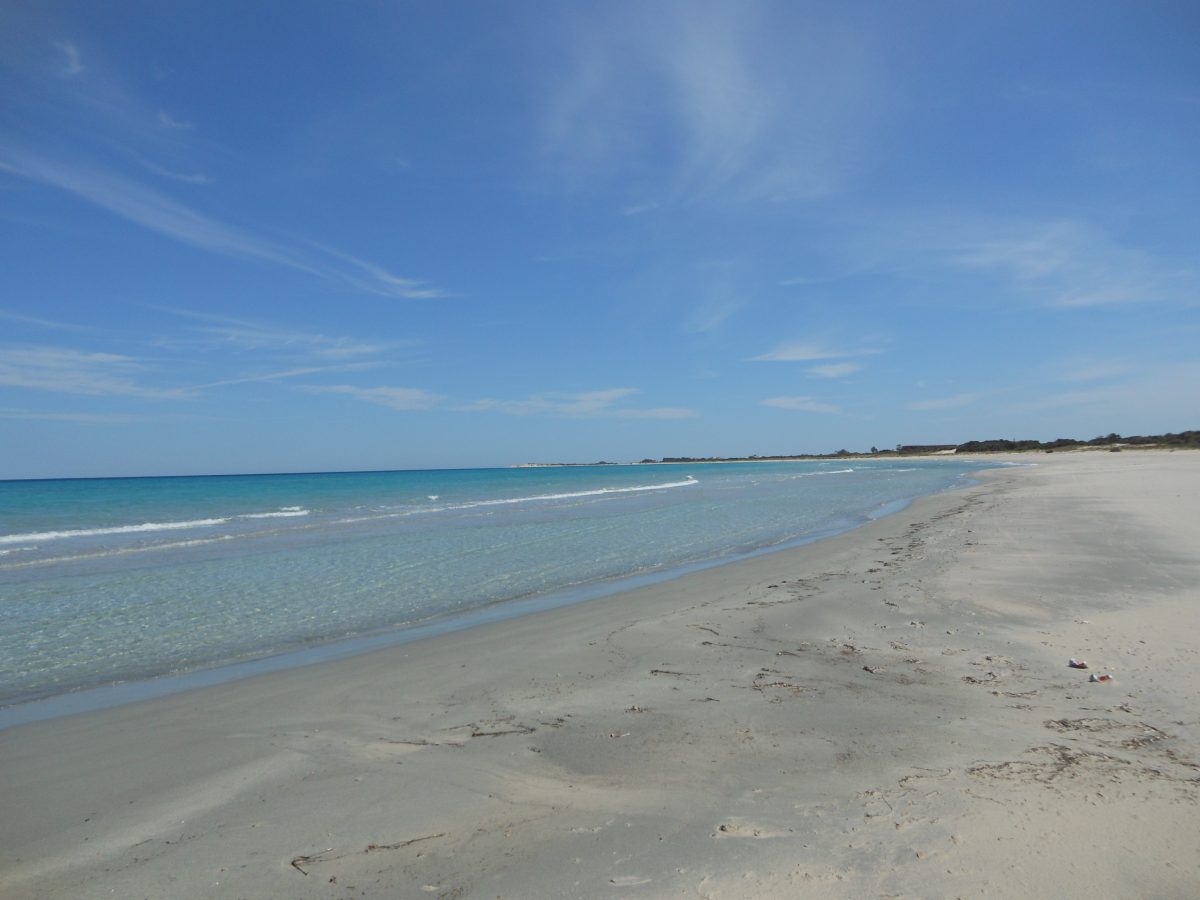 belle opportunité d&rsquo;investissement