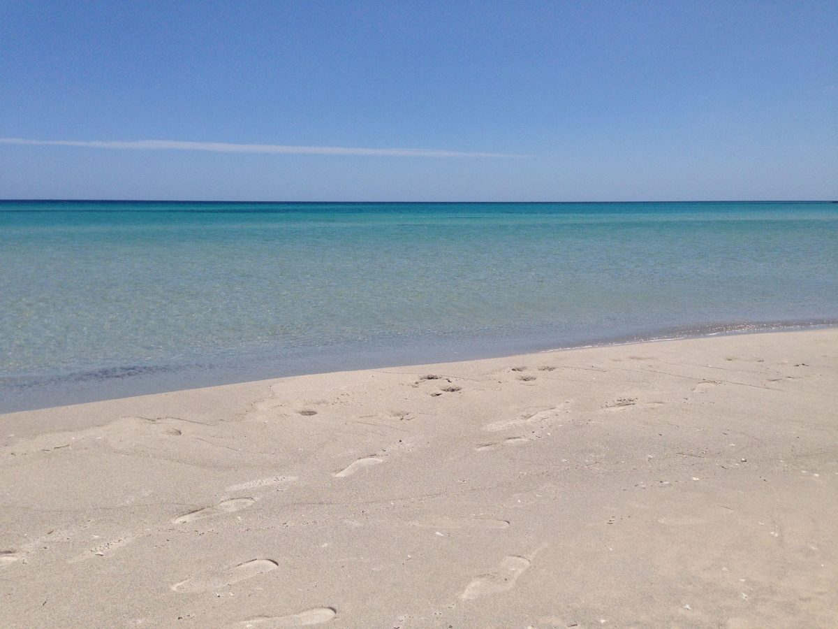 Terrain Paradisiaque pour investir