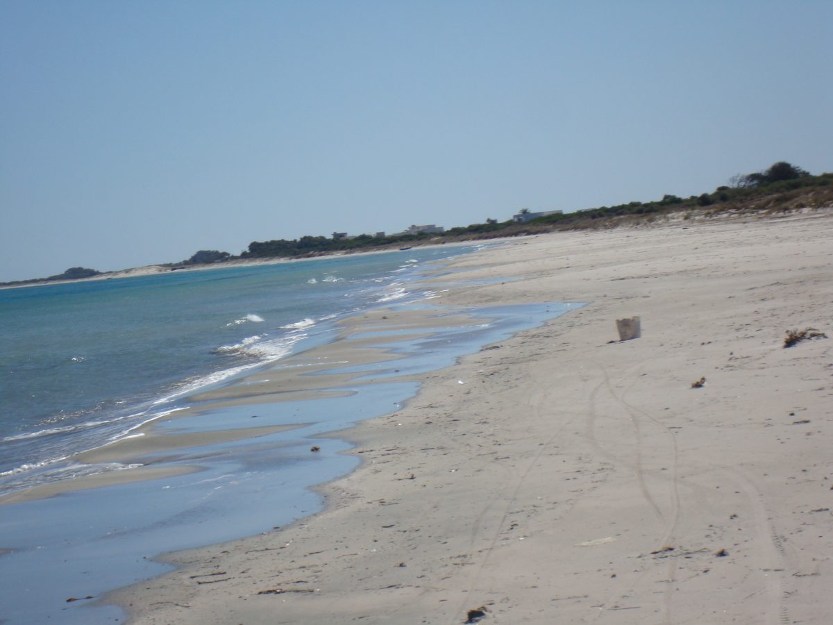 offre magnifique  de 5 hectare