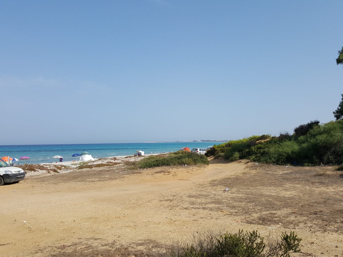 50000 m² au cap bon