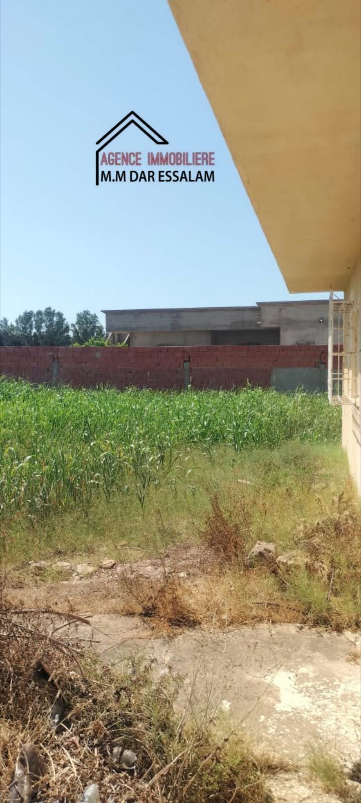 dar ghorfa2