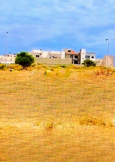 Vente Terrain
