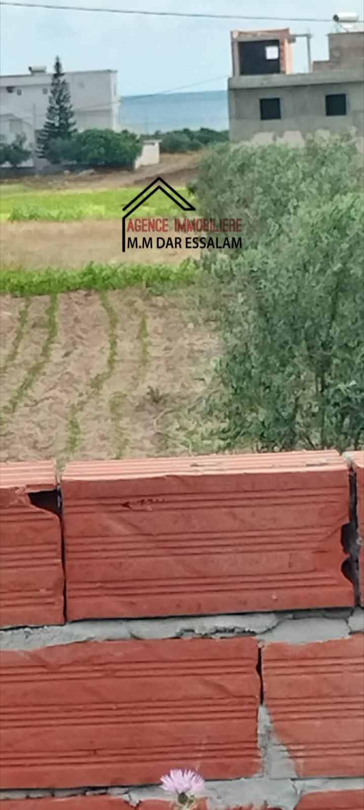 نبع7