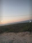 1000037031